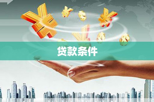 天等贷款条件