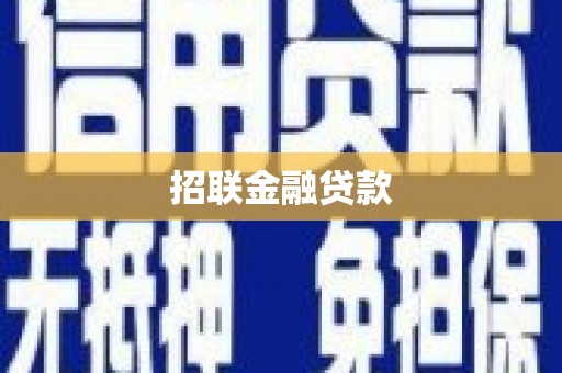 天等招联金融贷款