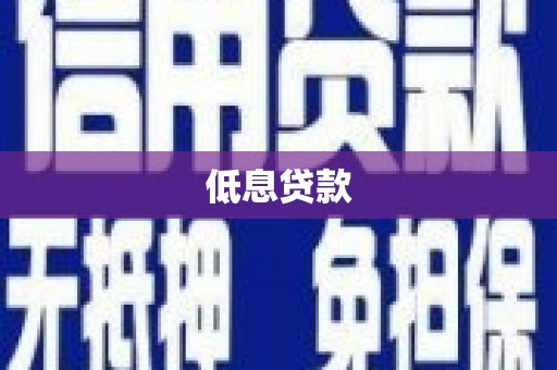 天等低息贷款
