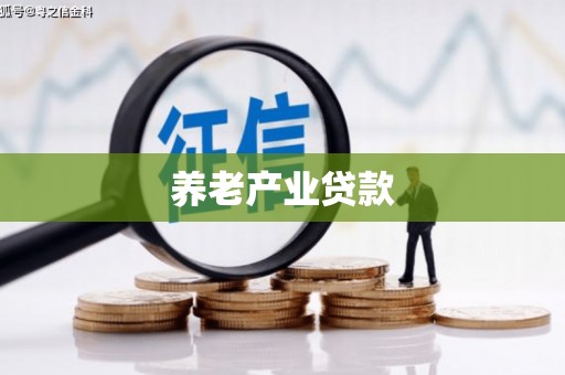 天等养老产业贷款