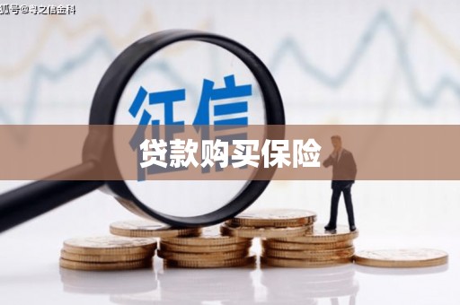 天等贷款购买保险