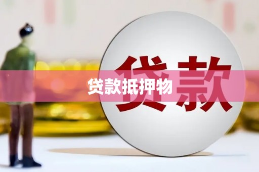 天等贷款抵押物