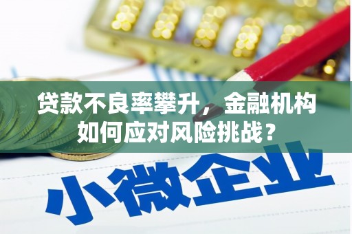 天等贷款不良率攀升，金融机构如何应对风险挑战？