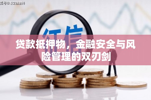 天等贷款抵押物，金融安全与风险管理的双刃剑