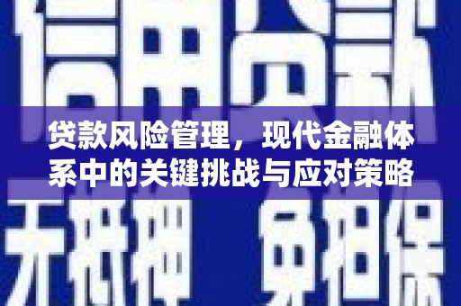 天等贷款风险管理，现代金融体系中的关键挑战与应对策略