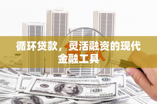 天等循环贷款，灵活融资的现代金融工具