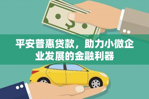 天等平安普惠贷款，助力小微企业发展的金融利器