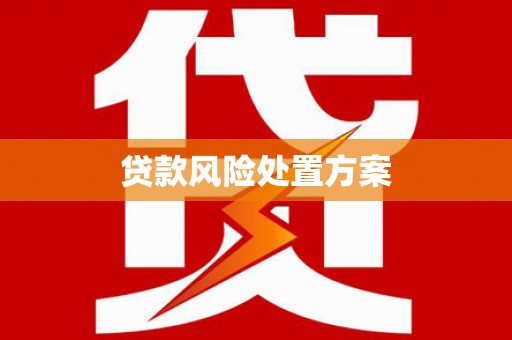 天等贷款风险处置方案