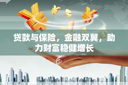 天等贷款与保险，金融双翼，助力财富稳健增长